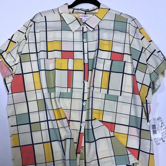 LuLaRoe Tops - Large Amy top LULAROE BNWT